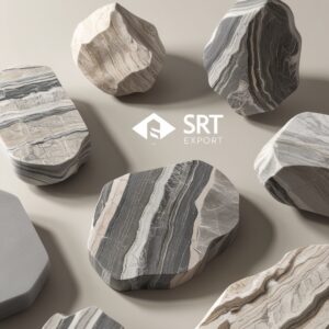 srtexport 4